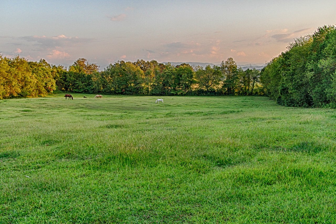 Strawberry Plains