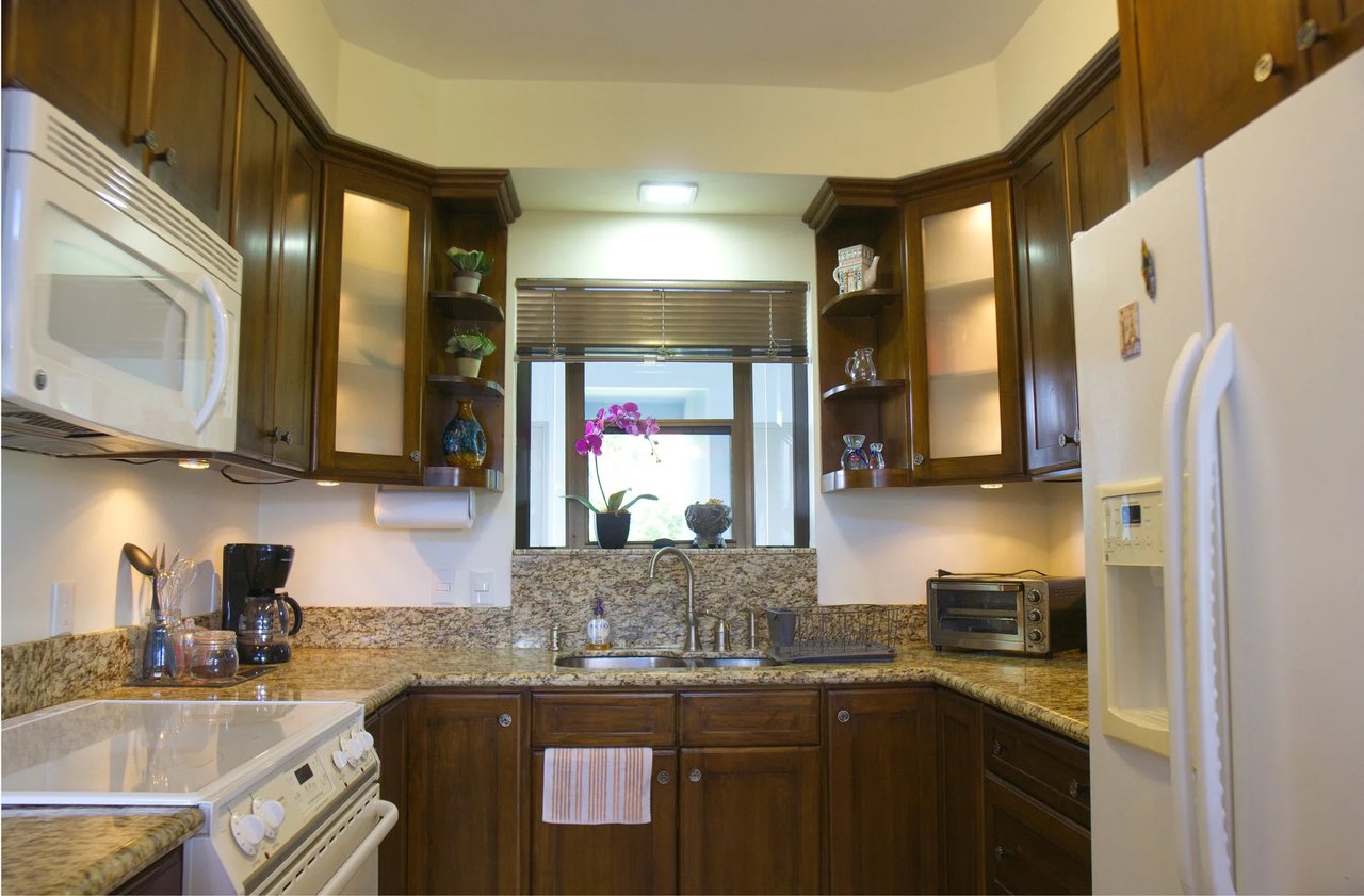Coffee Plantation Estate, Alajuela
