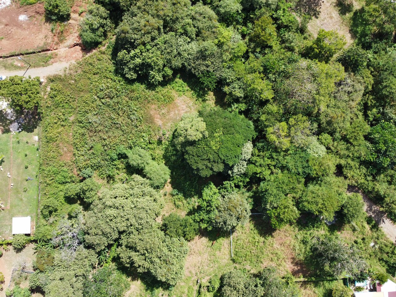 Private Jungle Estate Land in Vistas de Flamingo, Guanacaste, Costa Rica