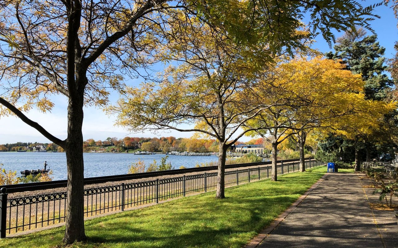 Wayzata
