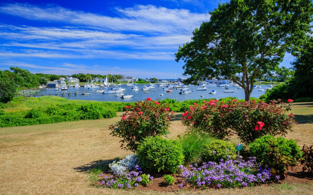 Upper Cape