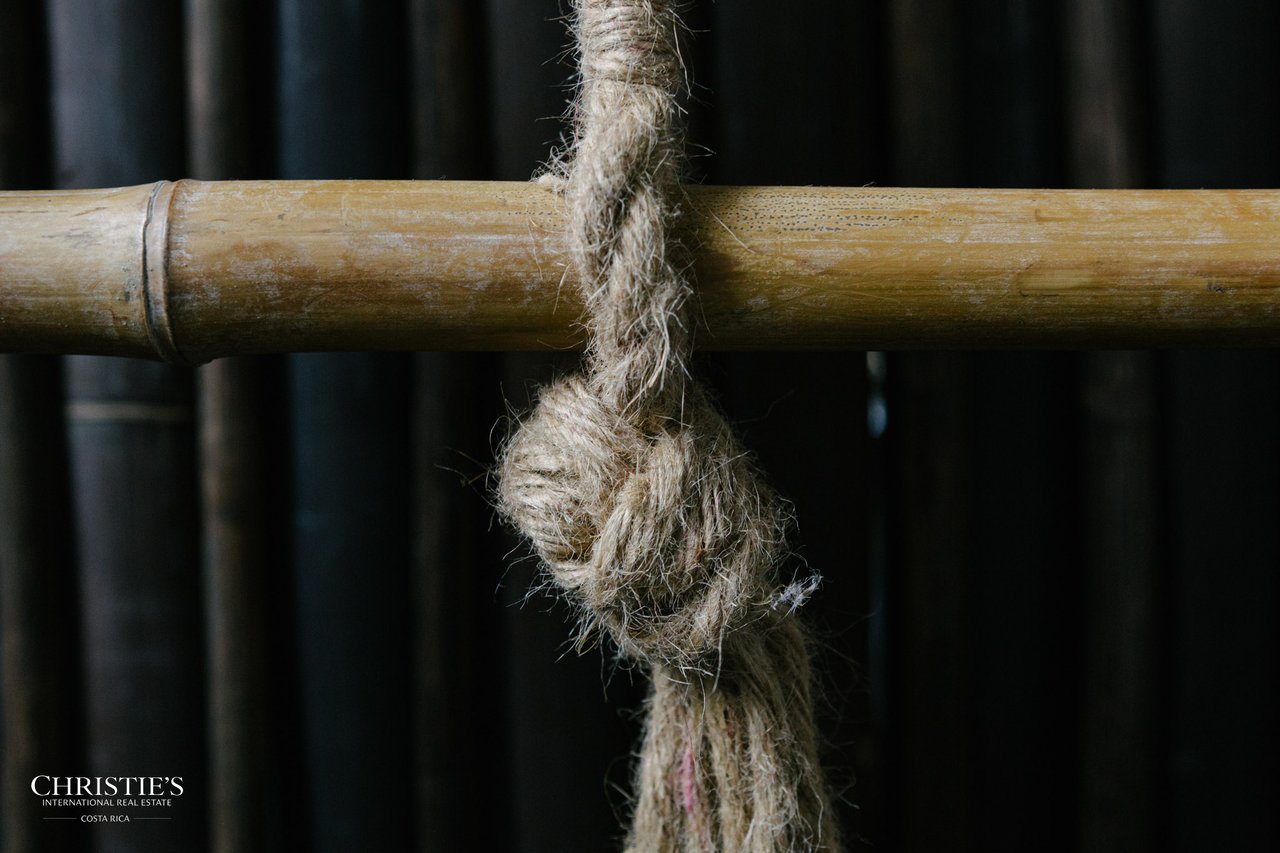 Villa Animales – Luxury Jungle Sanctuary