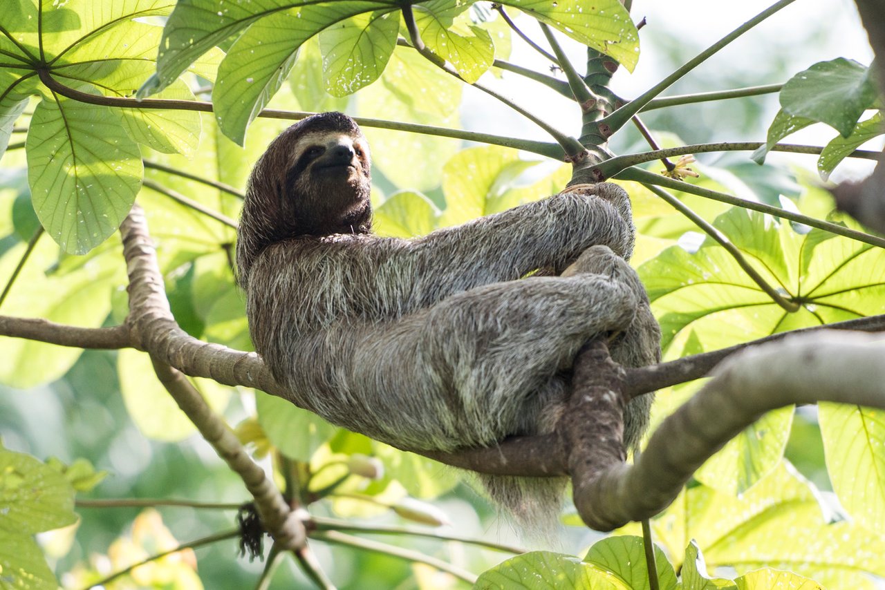 Impressive Contemporary Mansion