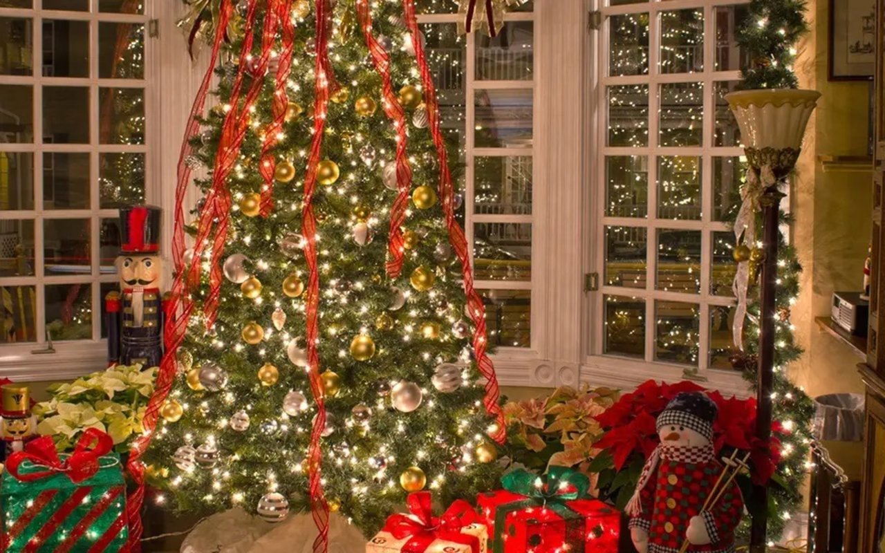 Festive Fun in Bay Head: Best December Events You Won’t Want to Miss