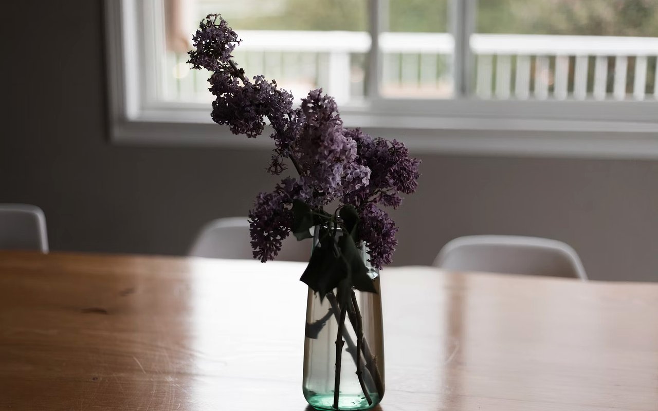 Silver Lake, CA, Through the Seasons: Home Maintenance Tips