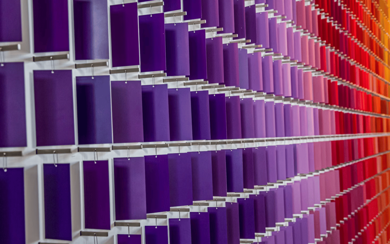 The Science of Color: How to Choose Paint Tones for Every Room