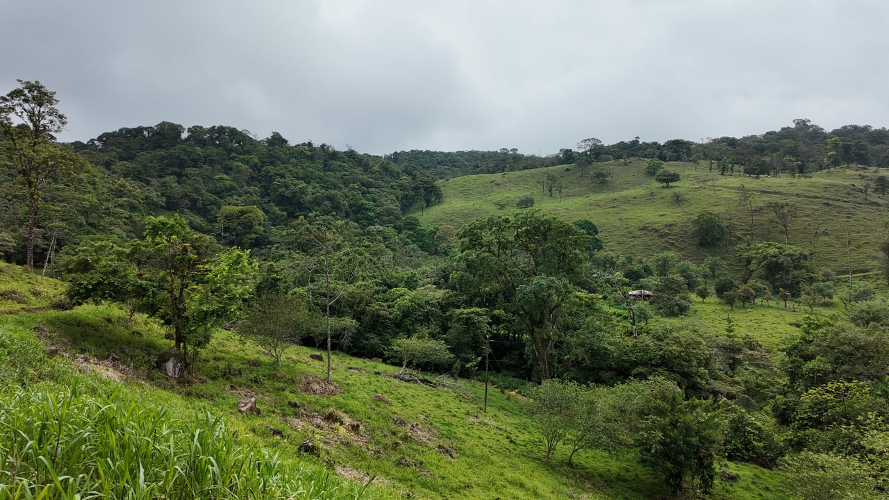 10.5 Hectares Rio Celeste - Nature Lover's Dream - Bijagua 