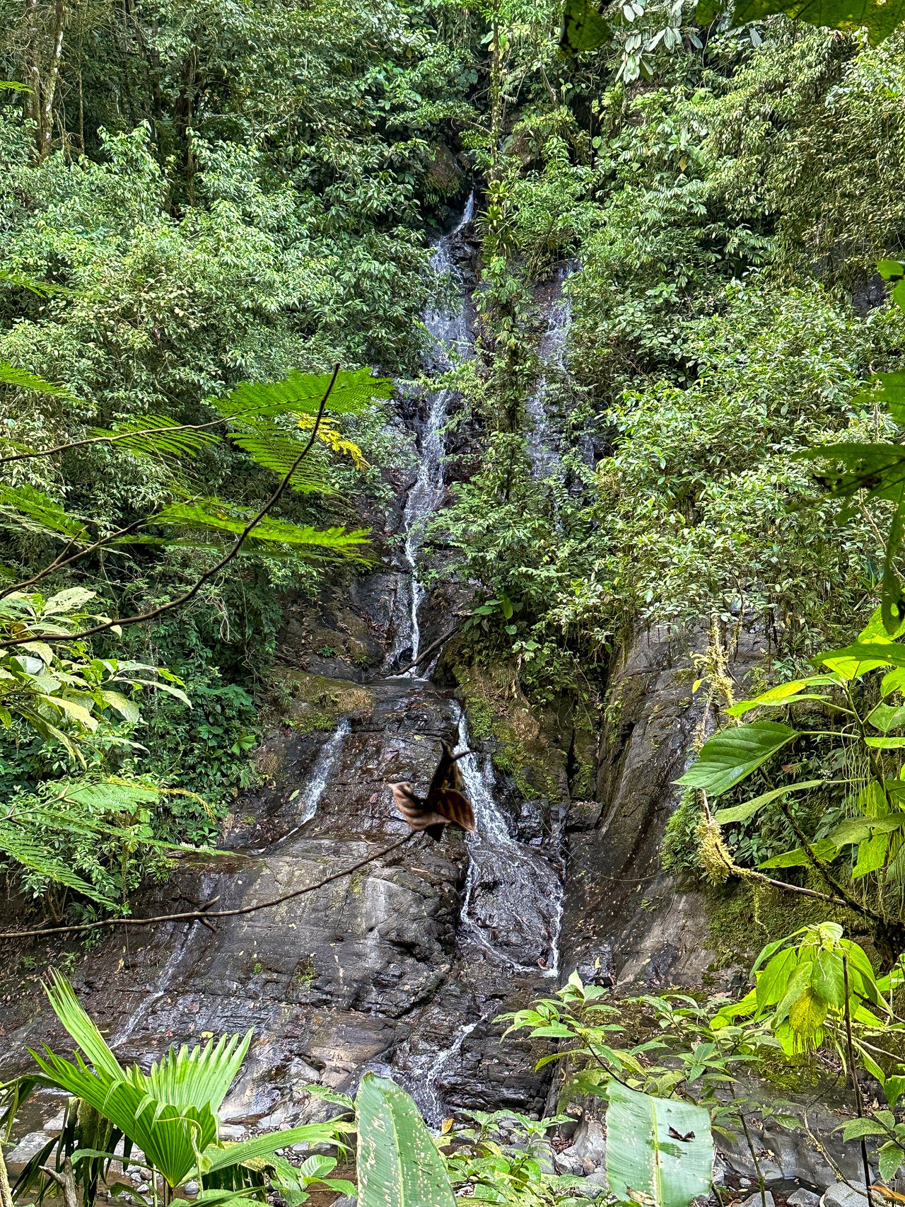 A Huge Rainforest, River & Waterfall Property With TWO Mountain & Jungle-View Luxury Homes on a Massive 4.93 Acre Lot – PLUS an Additional Plantel ready for Development