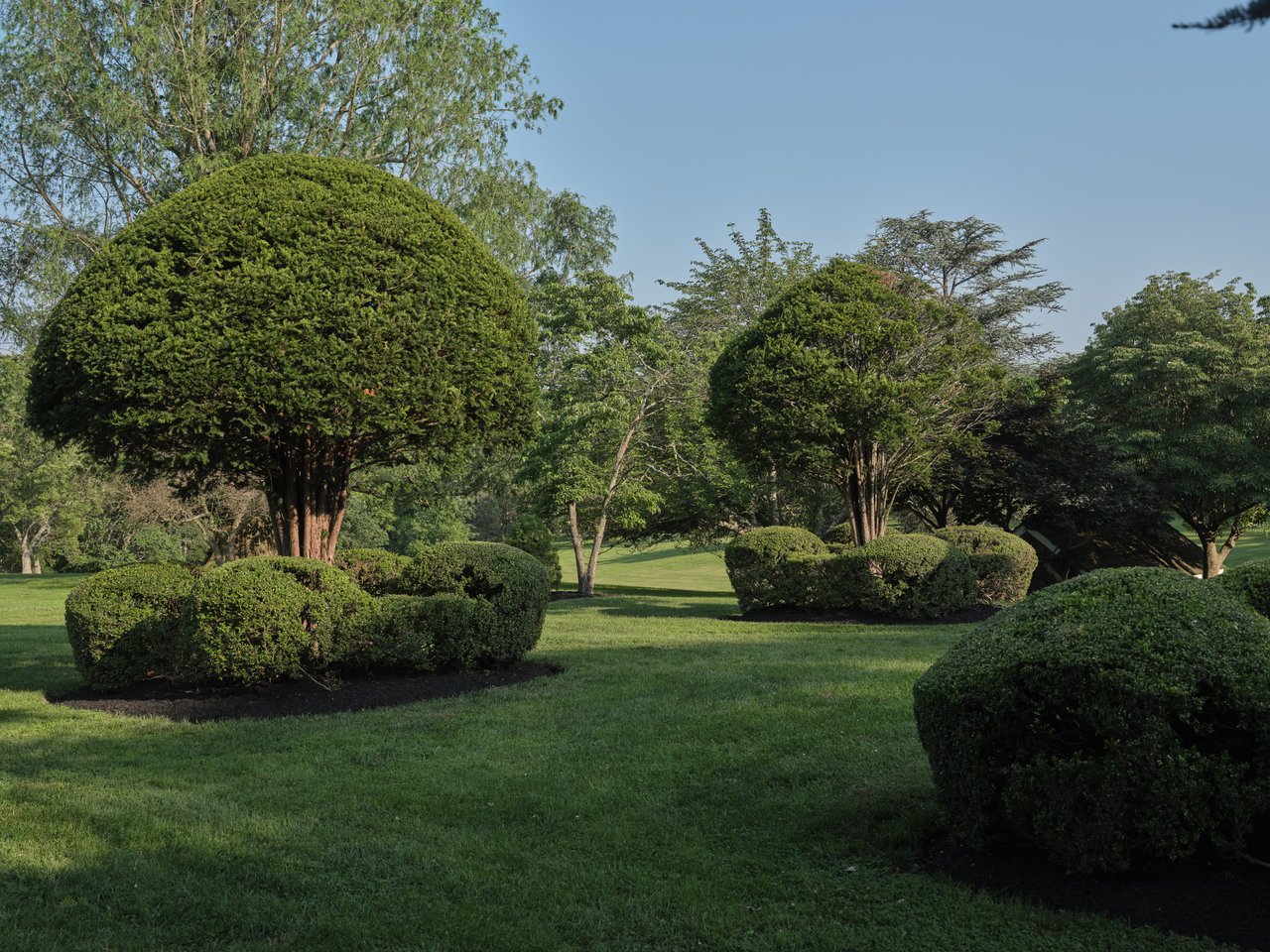 Seven Pines Estate 