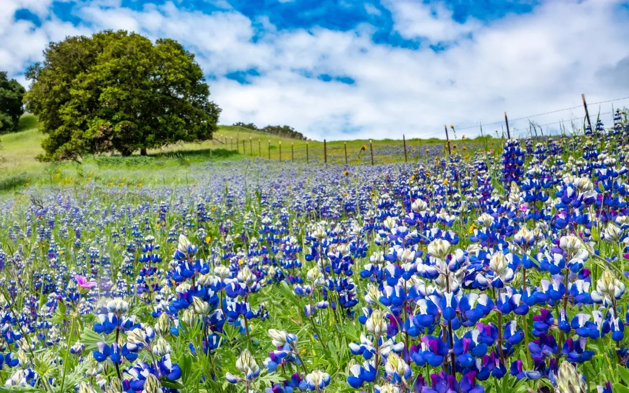 Southern Monterey County