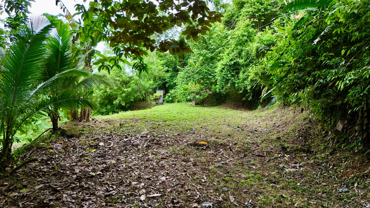 Tres Ríos Jungle Sanctuary | Ready-to-Build Lot Surrounded by Nature