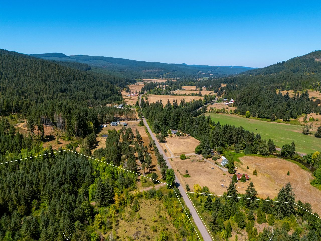 Coast Fork Woodland Meadows