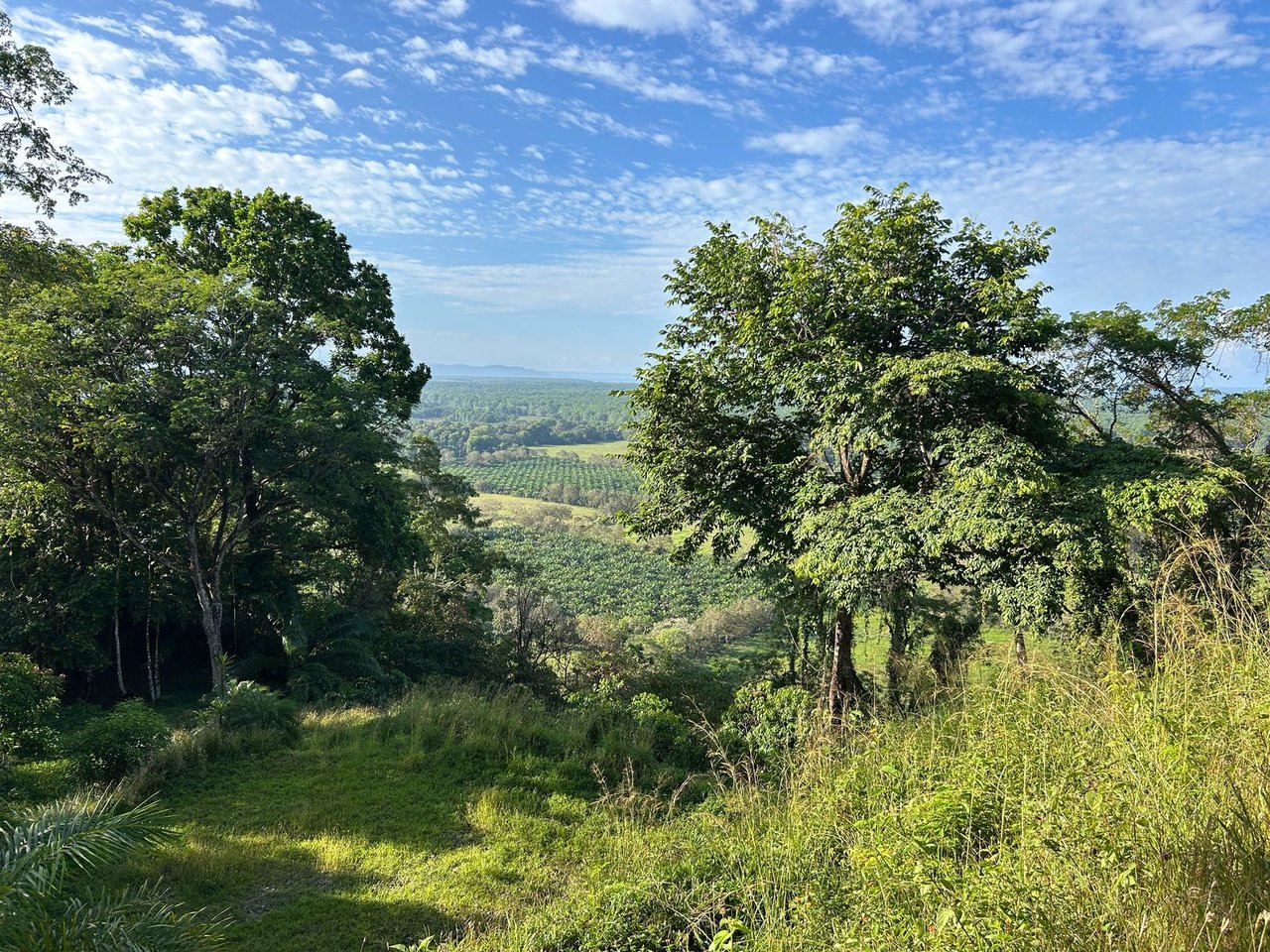 Private 13-Acre Property with Ocean and Mountain Views in San Buenas