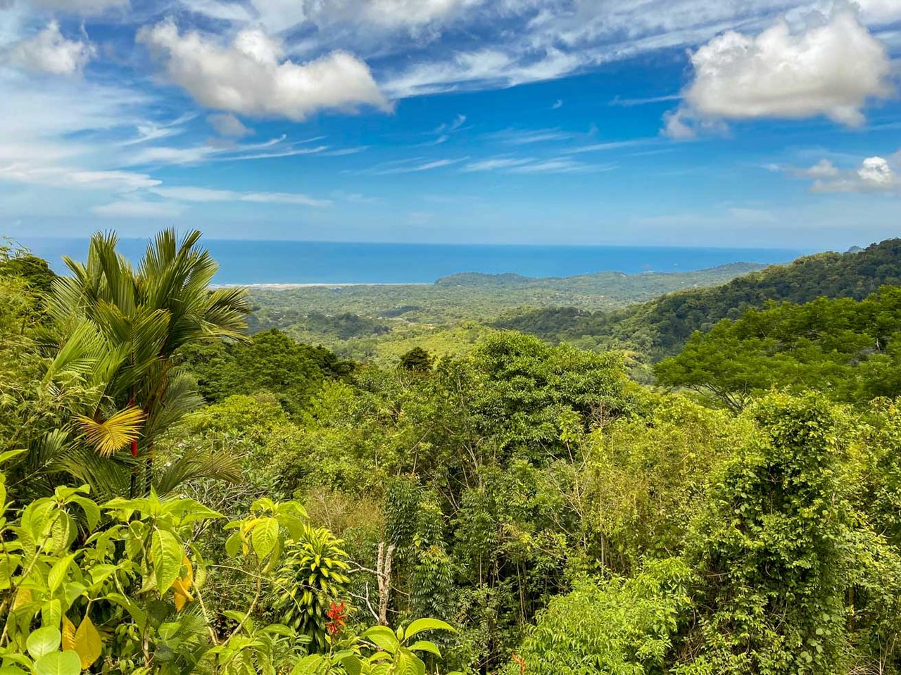 3-Bed Ocean View Home Near Ojochal, Costa Rica | 2.75 Acre Jungle Property