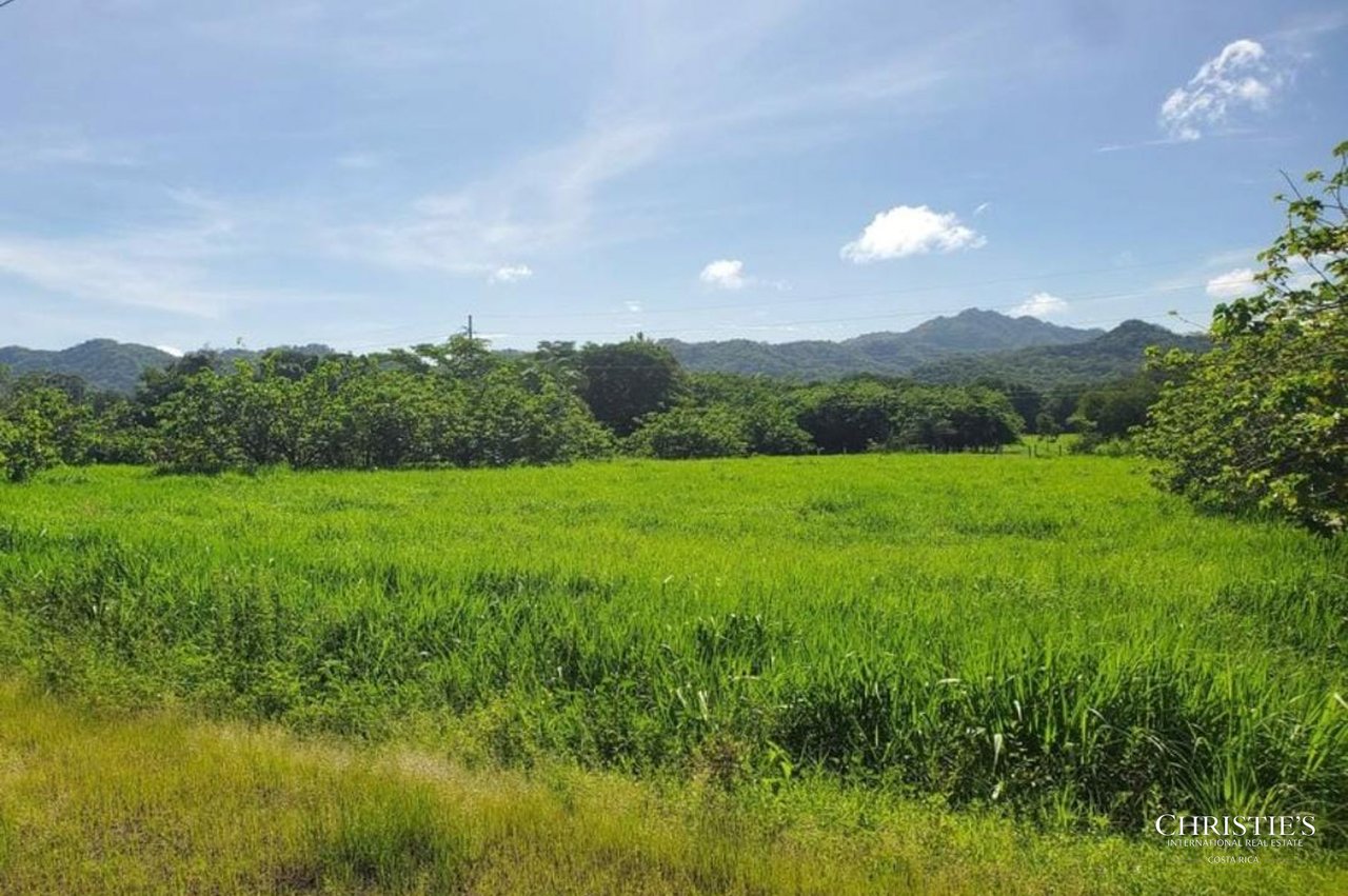 Commercial and Residential Lot for Sale in Colinas del Coyolar