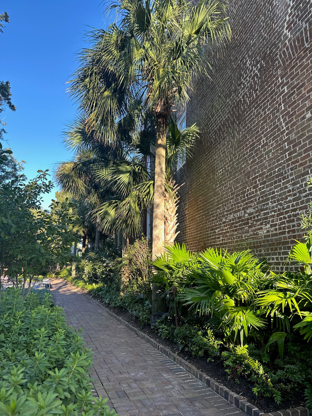 Why are people moving out of Charleston, SC