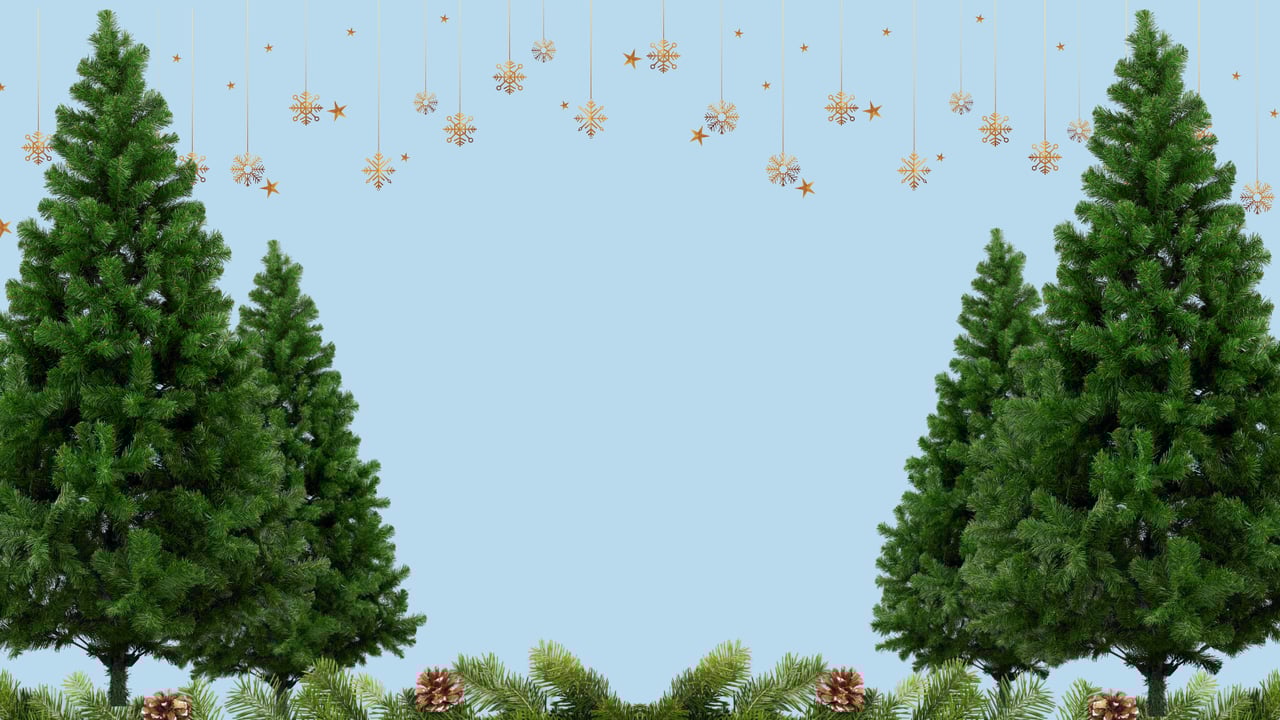 Twin Cities Christmas Tree Guide 2025: Where to Find Live Trees This Holiday Season