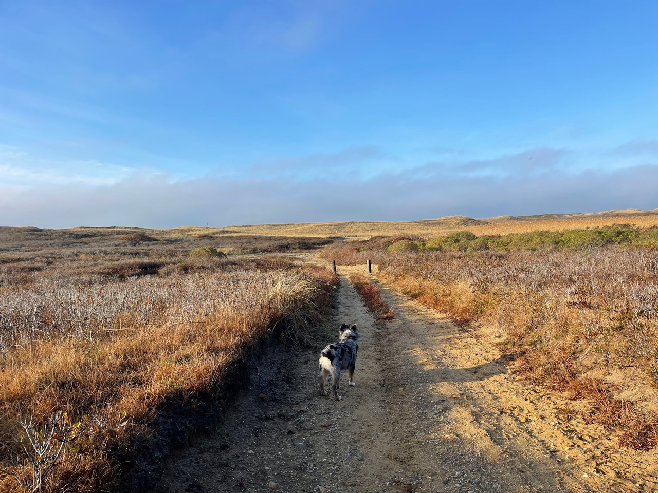 Discover the Best Walking Trails on Nantucket for Every Adventurer
