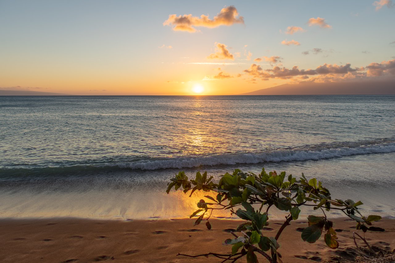 Sands of Kahana 134