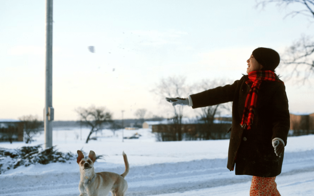 Why Libertyville, IL Is Attracting Remote Workers and Year-Round Residents