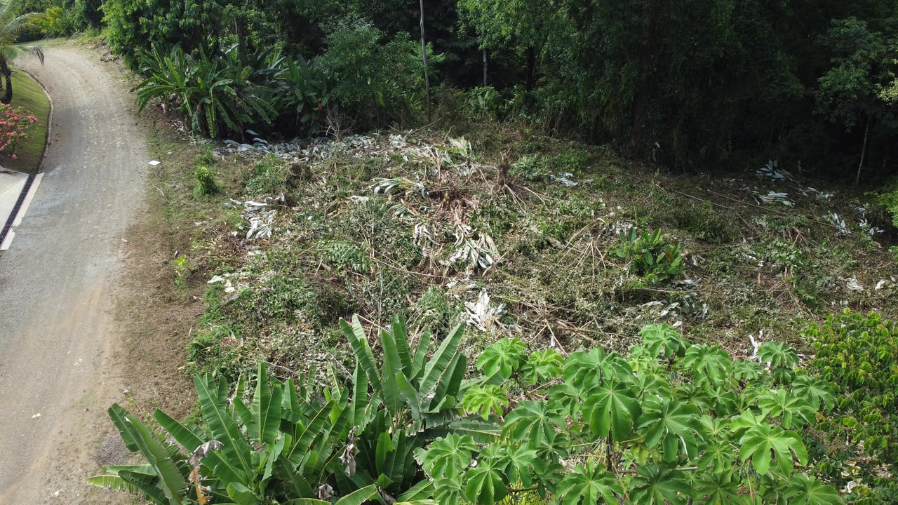 Ojochal - 1 Acre Ready To Build Jungle Lot, Ocean Breezes in Wildlife Corridore