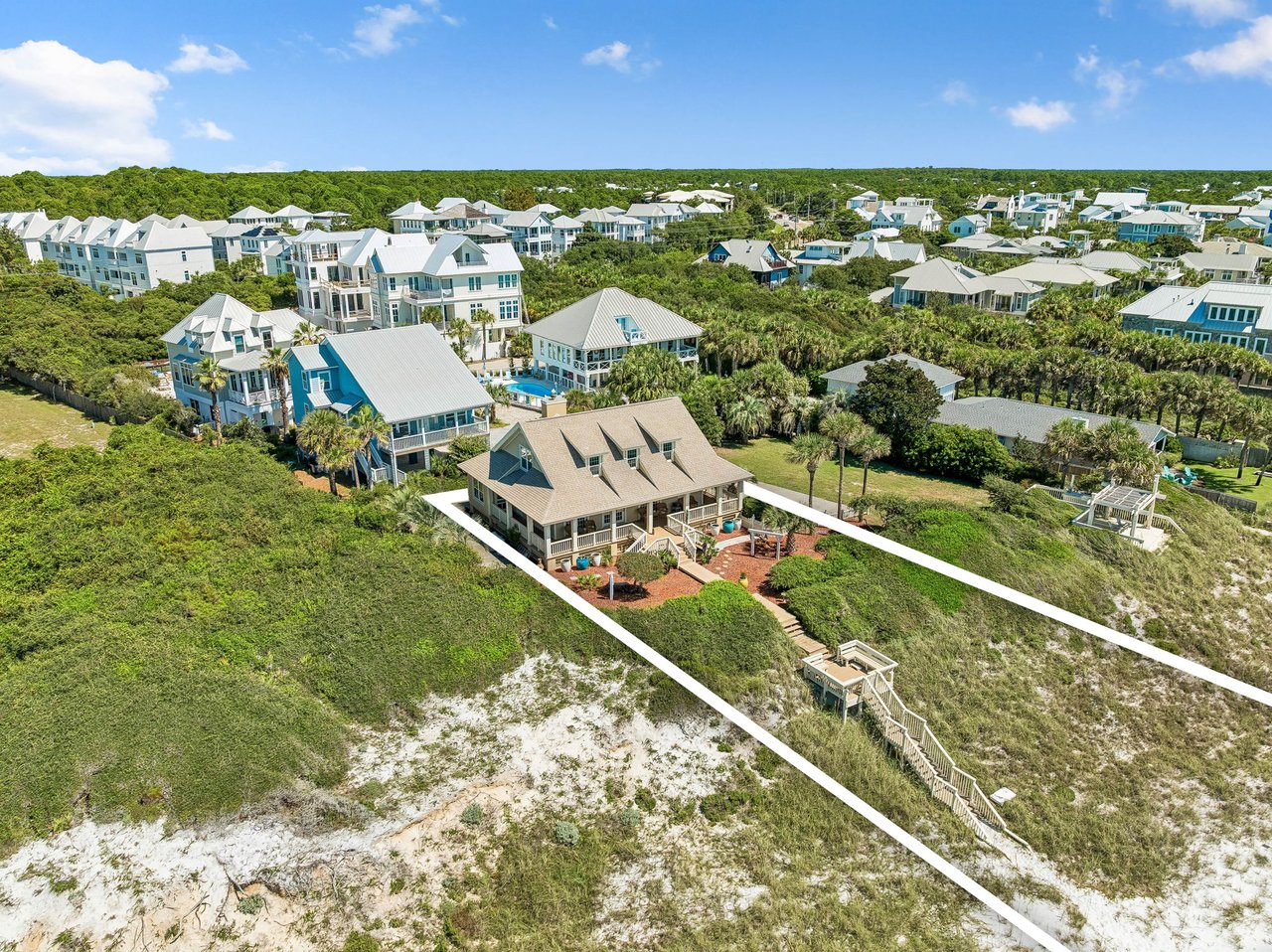 Three Palms