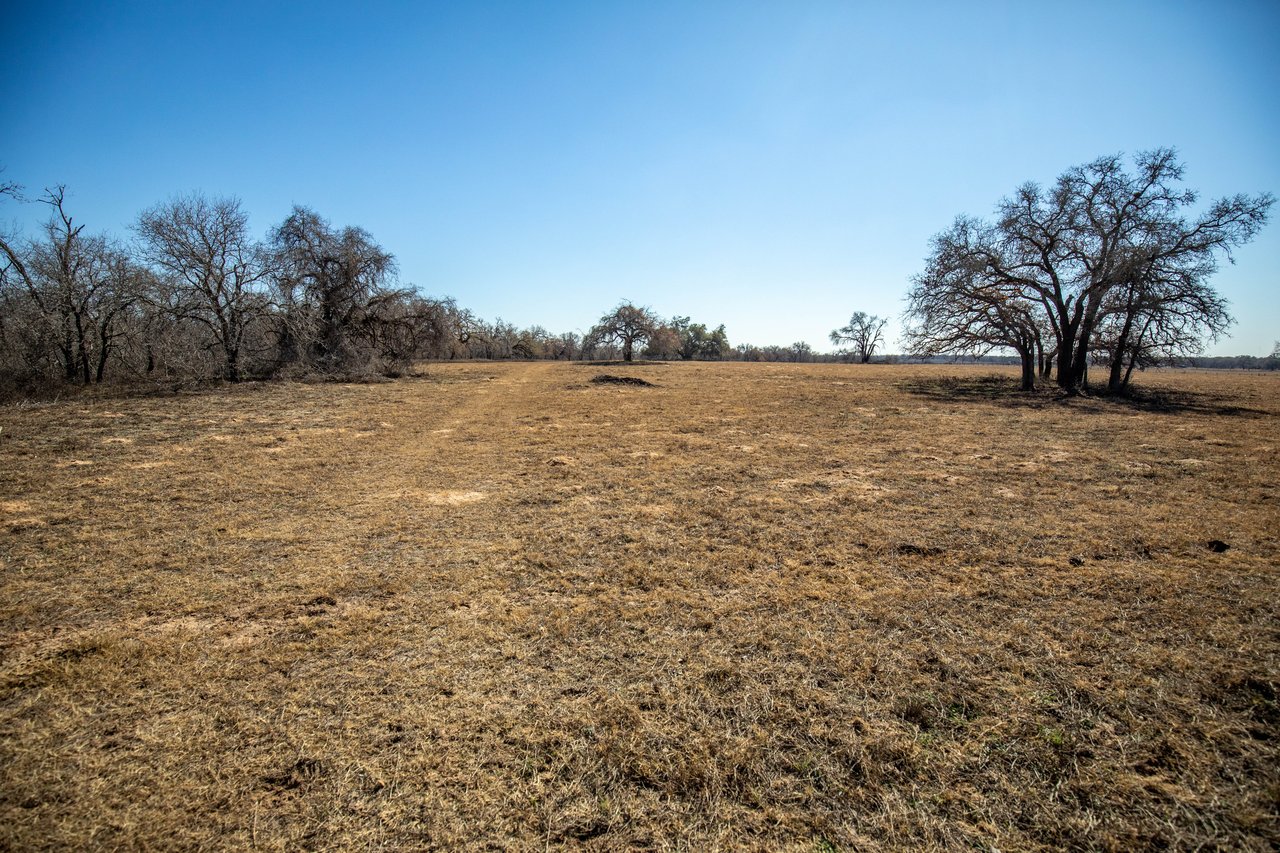 Whispering Pines Floresville Ranch | 298± Acres | Wilson County