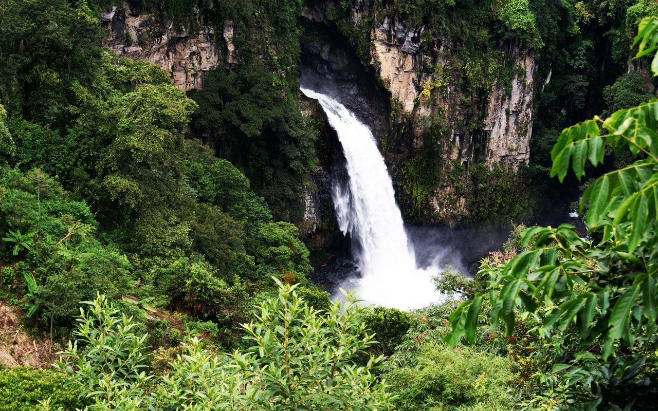 Waterfall plunging over a rocky cliff amid dense tropical greenery.
