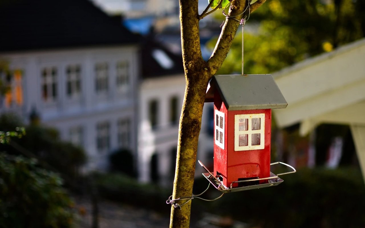 Embracing the Tiny House Movement: Experience Tiny House Living in Upstate South Carolina