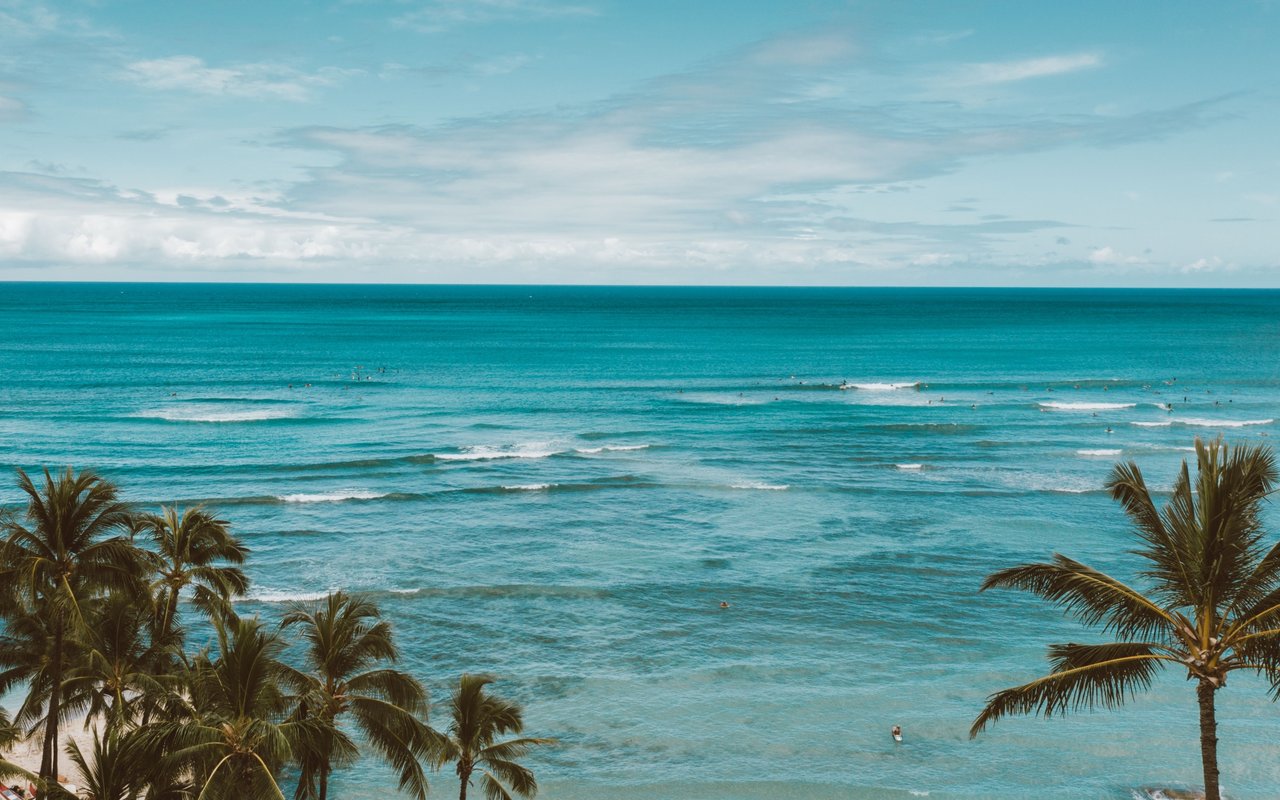 Turquoise ocean with surfers offshore, framed by palm trees beneath a partly cloudy sky.