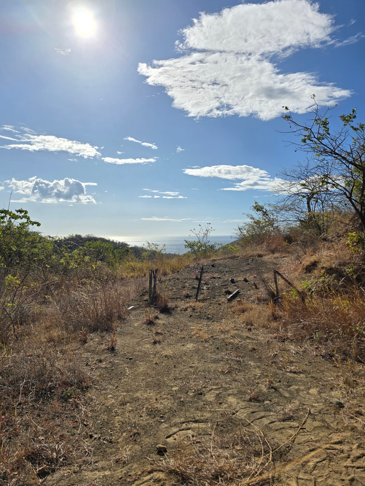 Vista Miramar Estate Lot, Pacific Heights