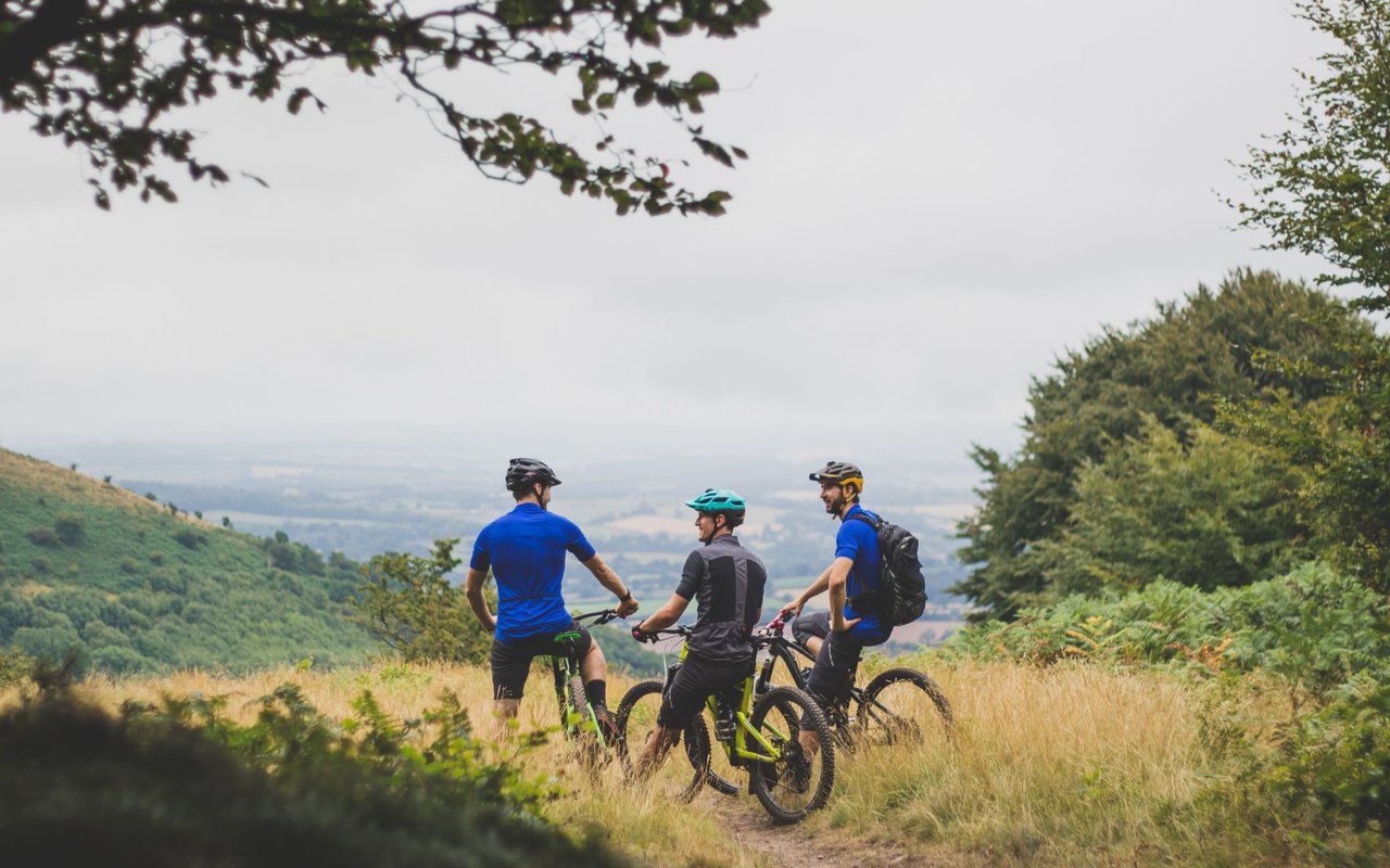 contact-form-background