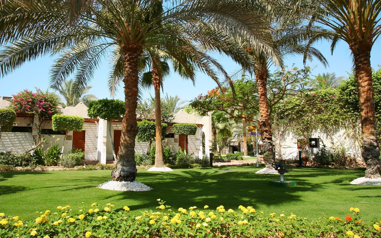 Landscaped courtyard with palm trees, flowering shrubs, and low stucco buildings.
