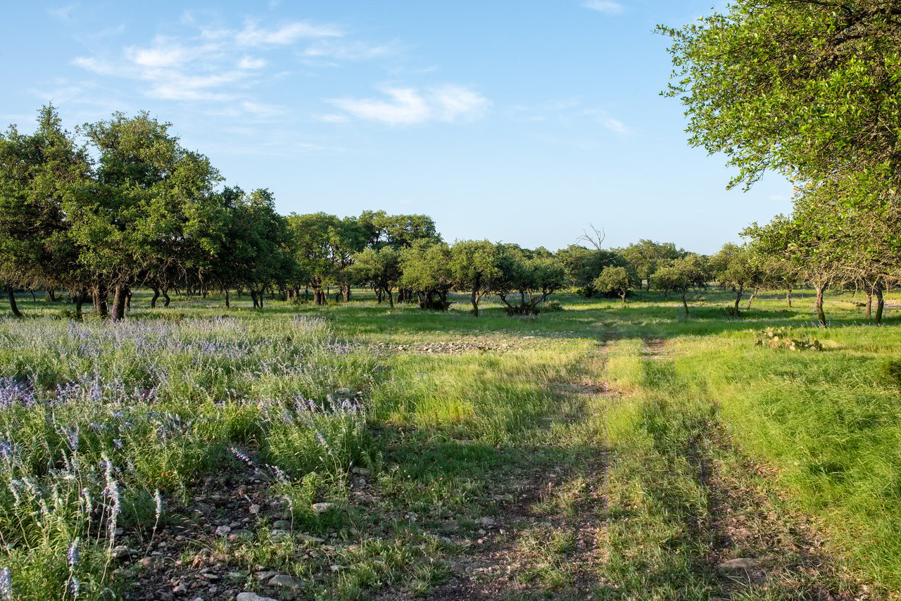 Apache Ranch
