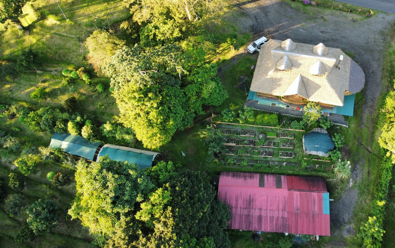 Organic Sustainable Lakefront Farm, Lake Arenal, Alajuela