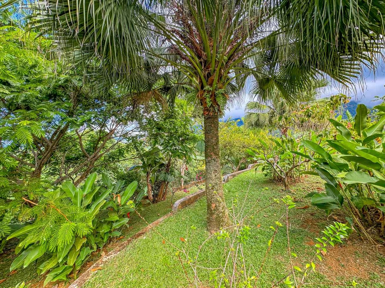 Ocean, Jungle & Mountain View Home in Ojochal | Protected Jungle Setting