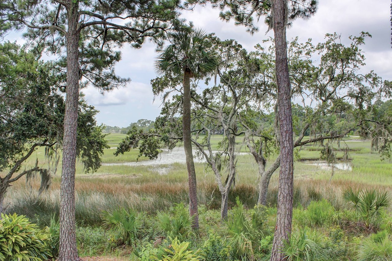 Moss Creek