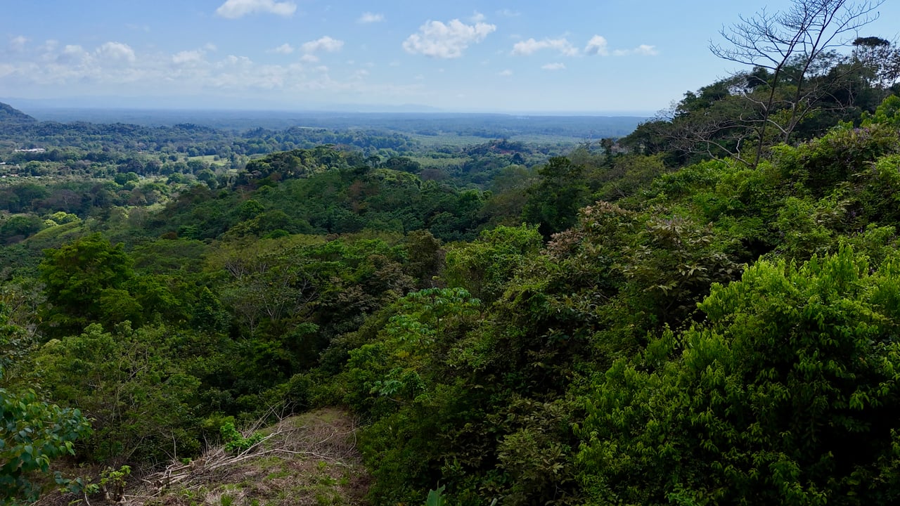 Ocean View Lot in San Buenas, Only $90K & Ready To Build