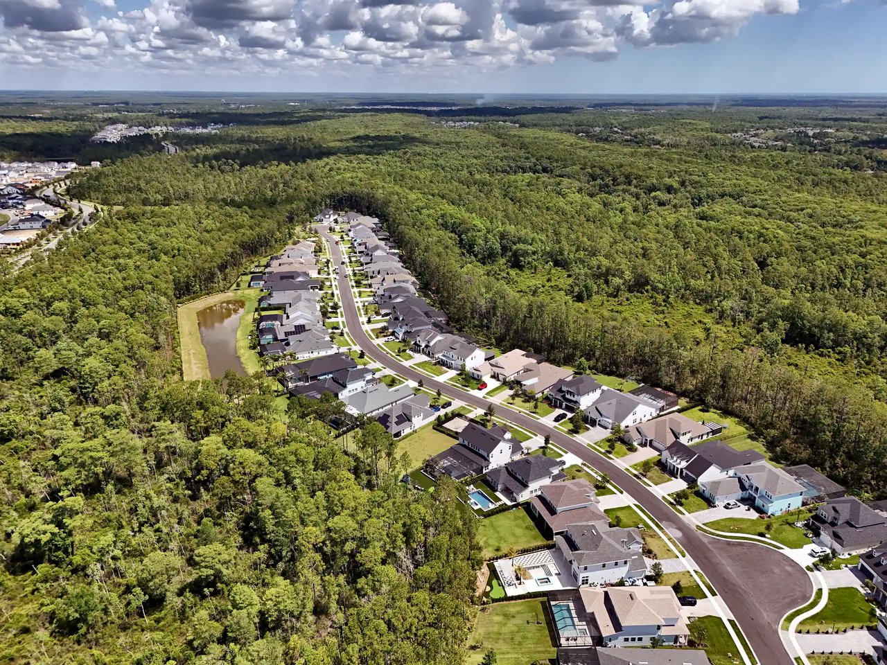 Aerial view of Palm Crest homes lining a curving street through dense preserve, with a pond alongside, in Seabrook at Nocatee.