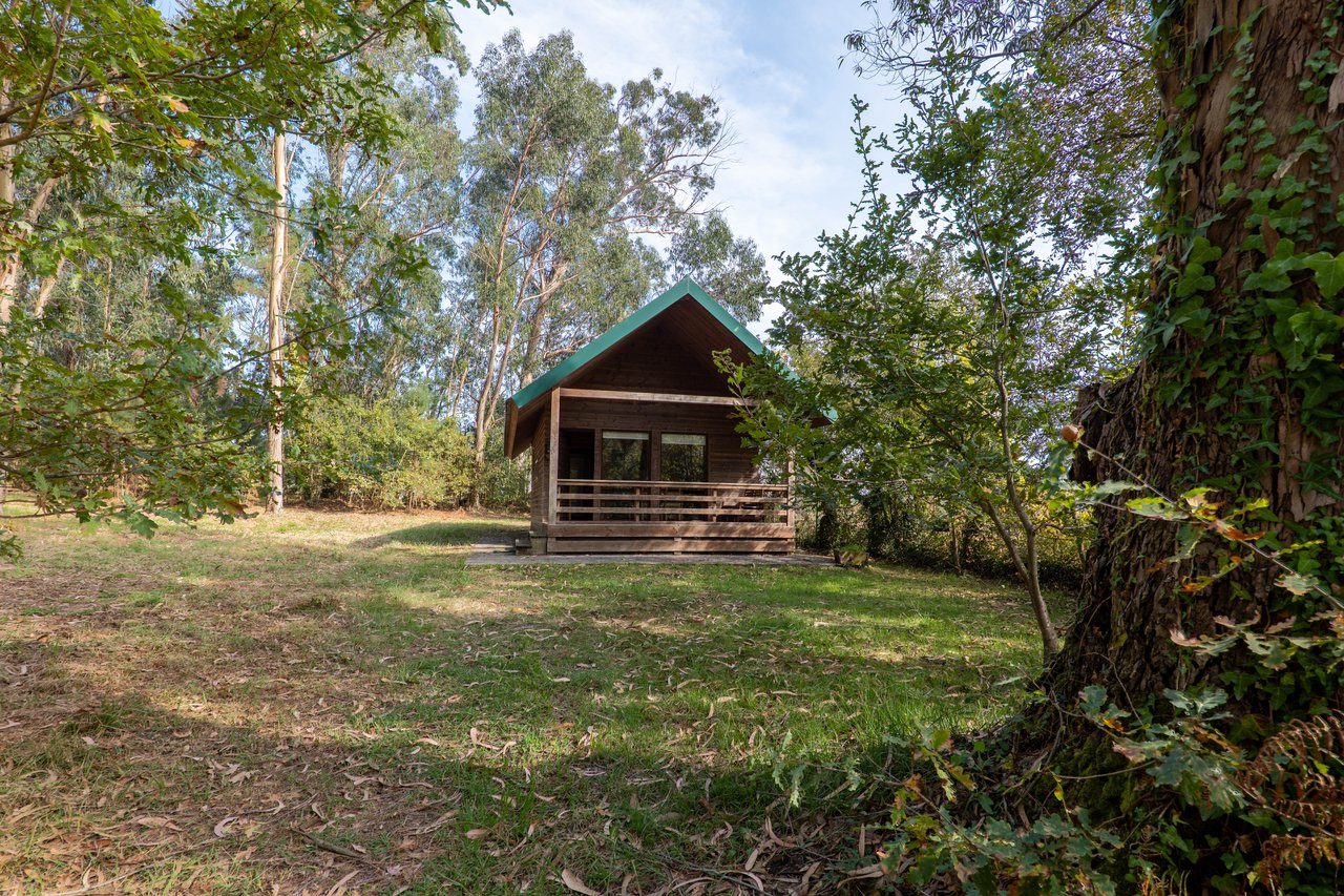 Equestrian Estate in Lavra with 13,000 m² just 800 Meters from the Beach