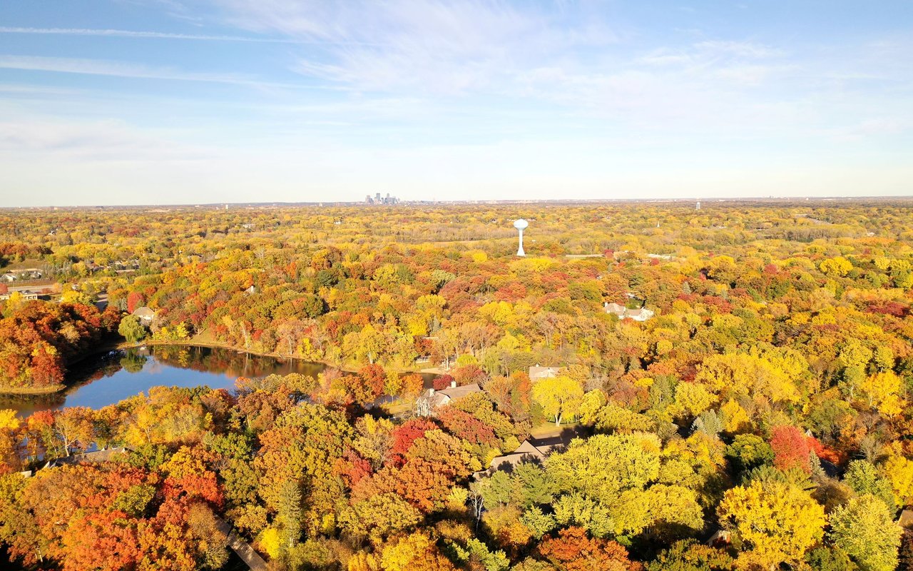 Edina
