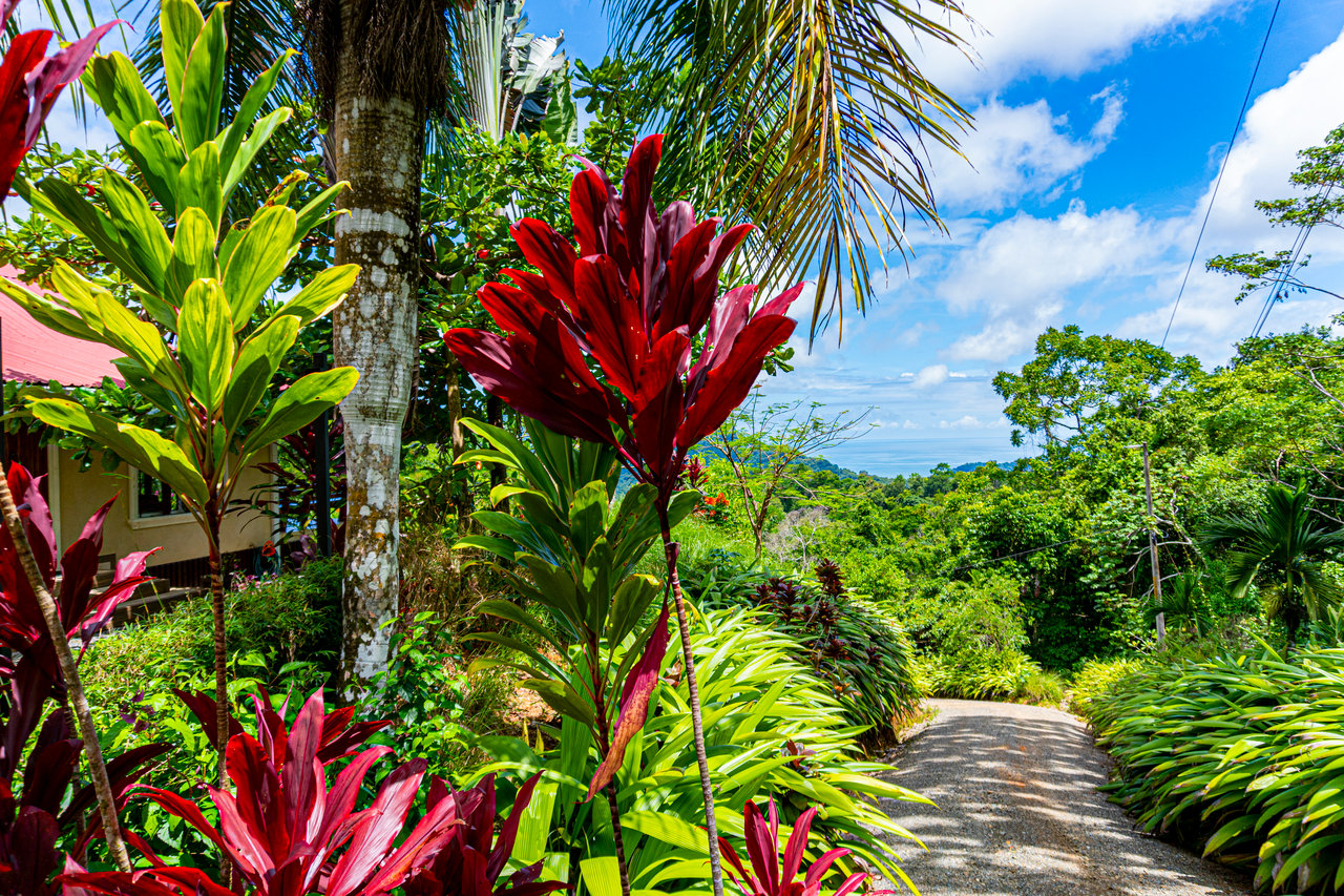 Casa Vista Hermosa