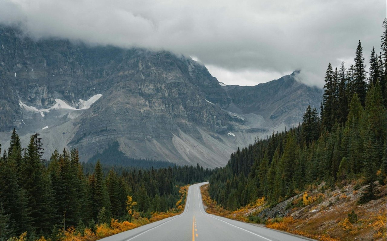 Mountain road winding through evergreen forest beneath cloud-covered peaks, with golden autumn foliage along the roadside.