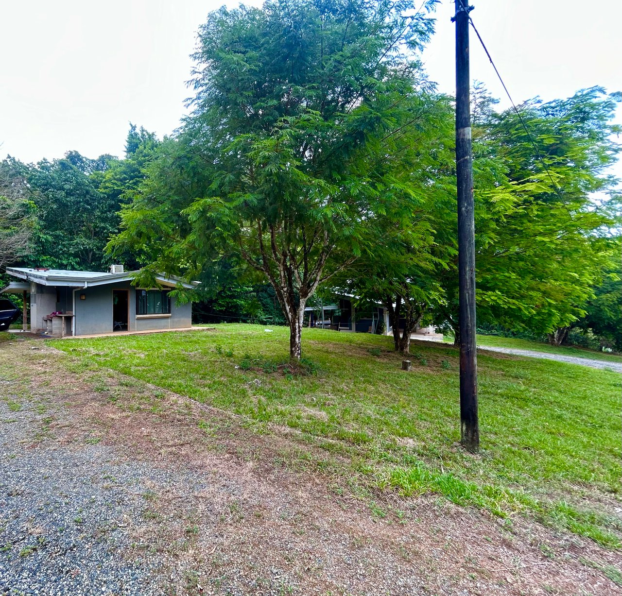 Fixer-Upper Home with an studio Office in Palmar Norte on a 4-Hectare Property
