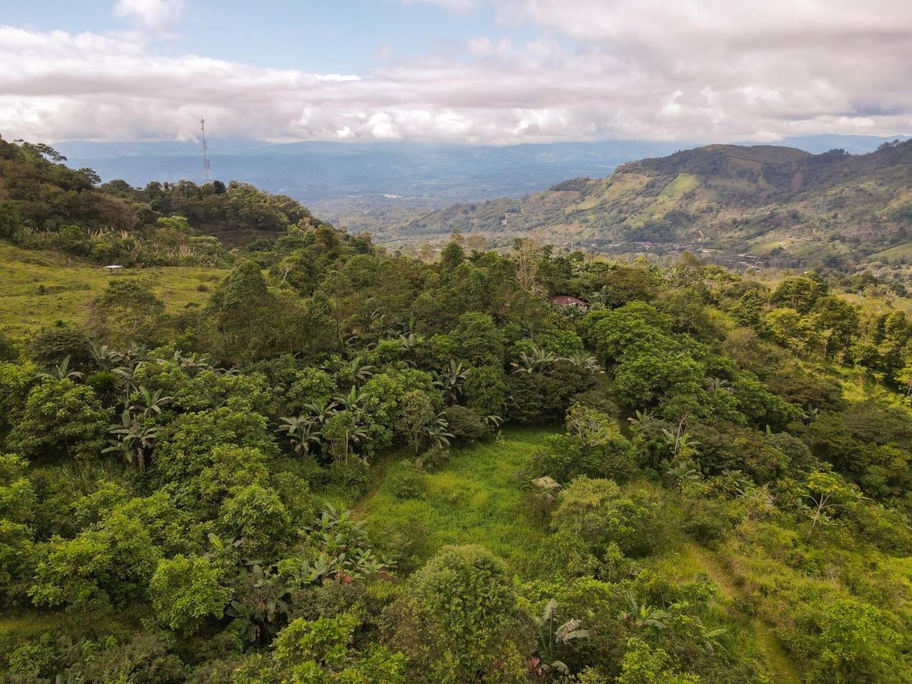 Sustainable Organic Mountain Farm, Perez Zeledon, San Jose
