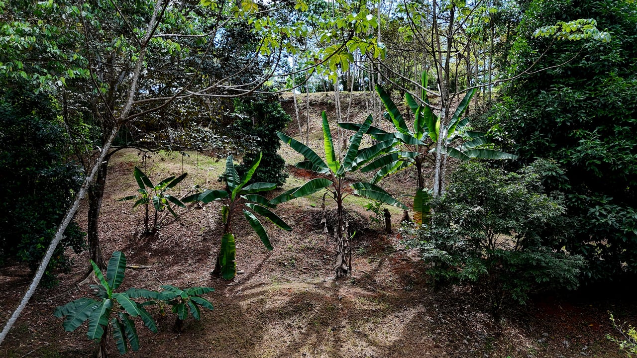 Beautiful mountain view land located in a quiet community in Ojochal. 