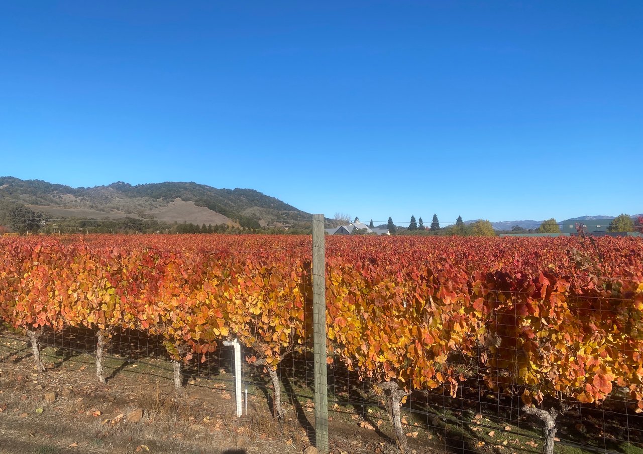Sonoma’s Premier Wine Country Estate