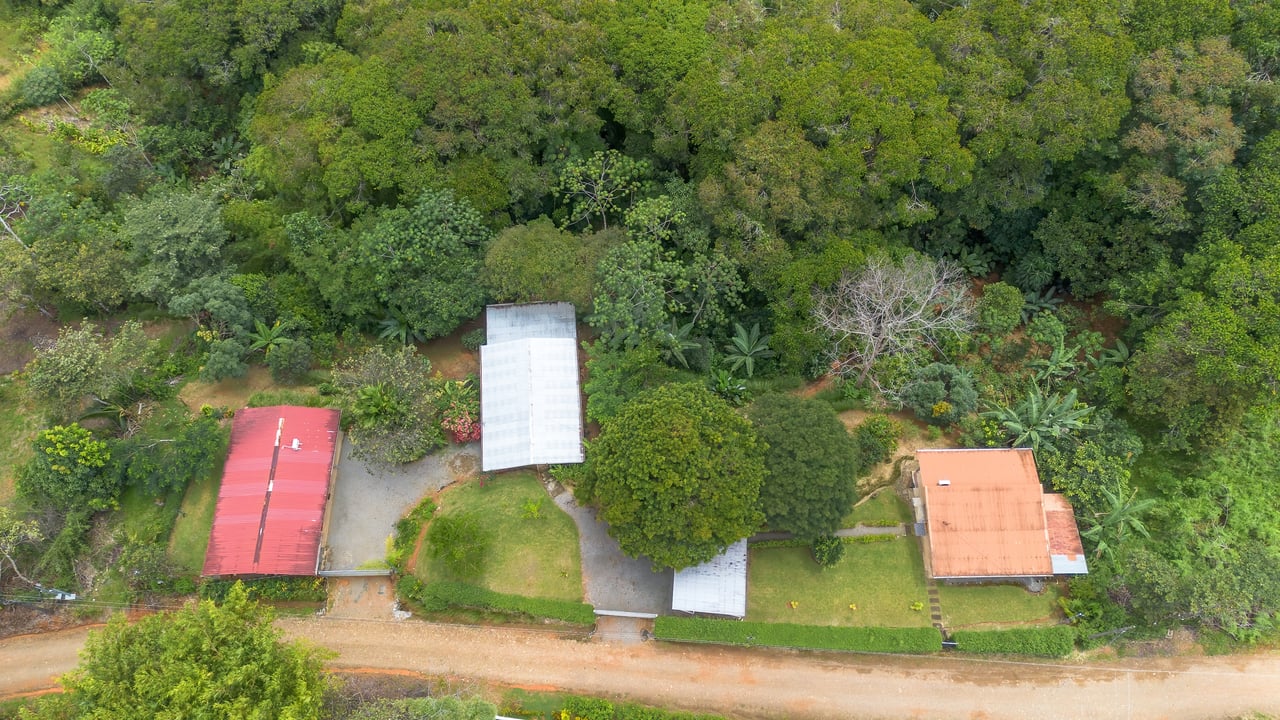 Multi-Family Compound, 4 Fully Furnished Units | 15 Minutes to the Beach