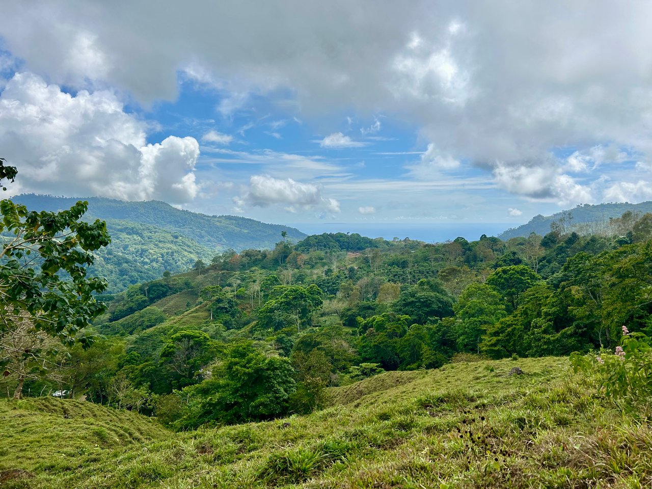 Gorgeous Land in San Luis Morete - Uvita - Over 17 Acres