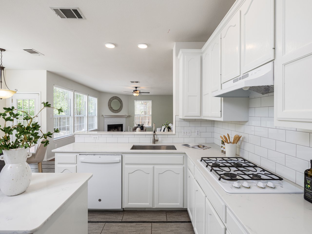 Rare Greenbelt Gem in Steiner Ranch with Major Upgrades